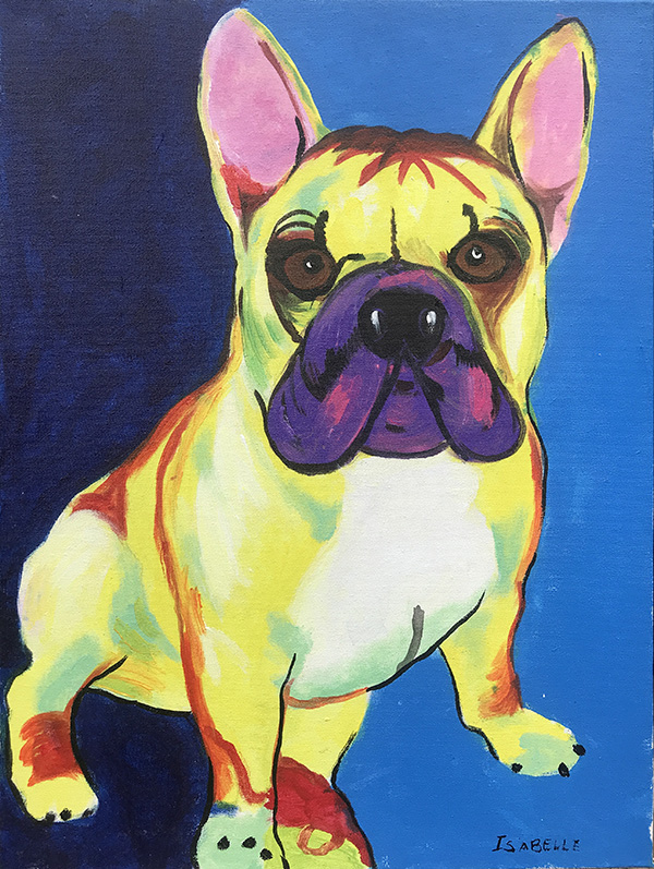 Buldog - 30 x 40 - AST - 2019